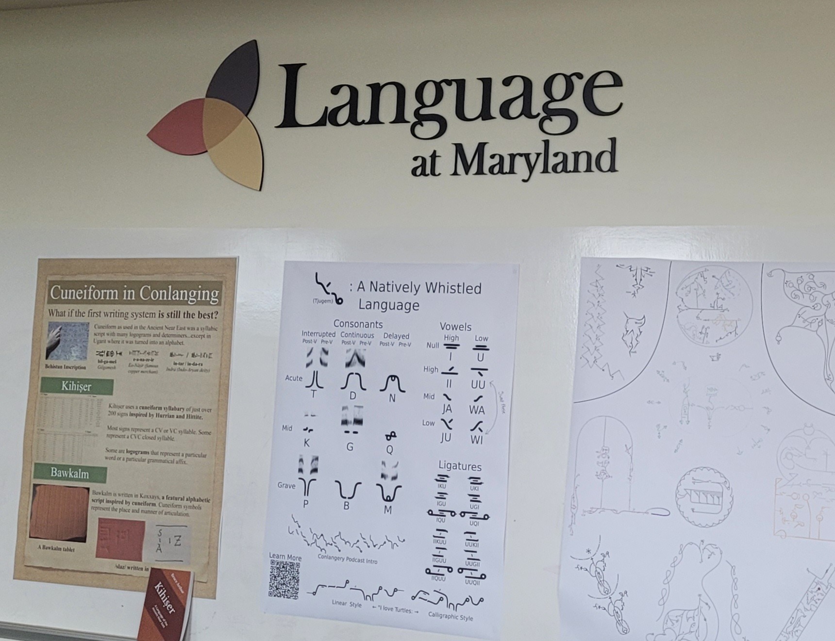 A wall of colorful posters at the 11th Language Creation Conference showcasing the phonology, grammar, and writing systems of various original constructed languages developed by individual conlangers.